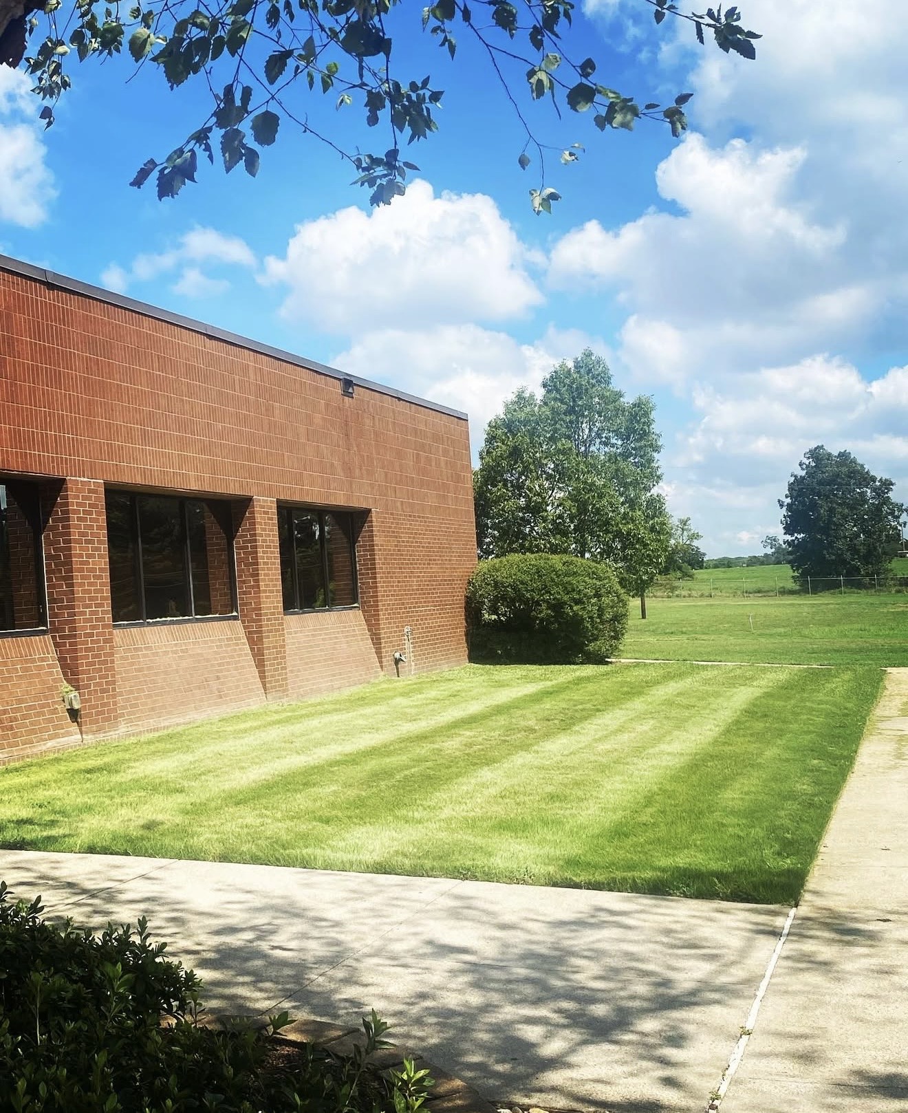 Commercial Lawn Striping