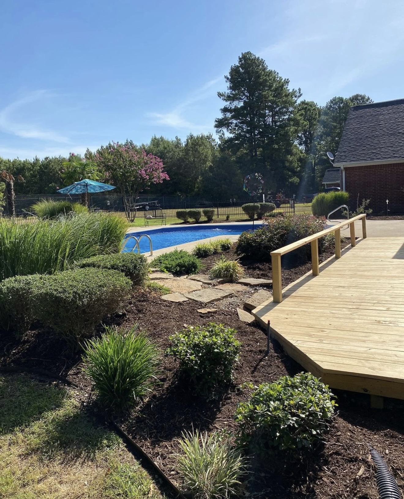 Pool Side Landscaping